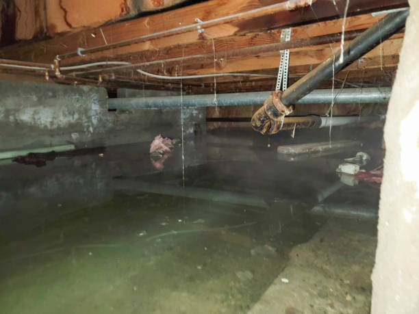 Best Water damage restoration near me  in Chico, CA