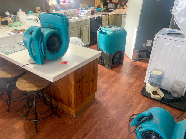 Best Residential water damage restoration  in Chico, CA
