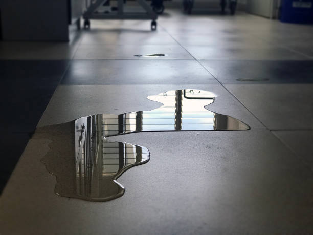  Chico, CA Water damage restoration Pros