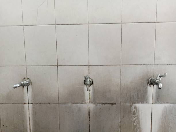 Best Mold removal after water damage  in Chico, CA