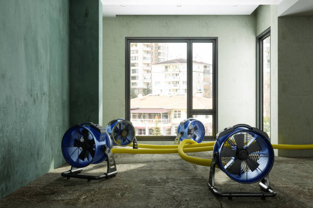 Best Water damage restoration near me  in Chico, CA