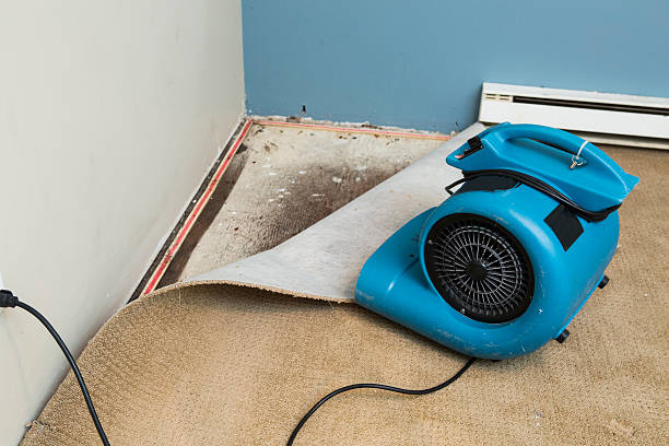 Best Residential water damage restoration  in Chico, CA